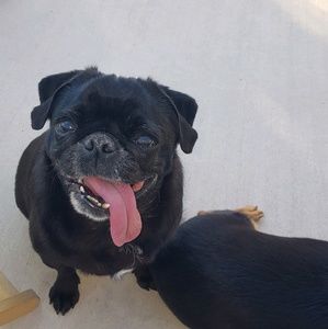 Meet your Posher, Sydney